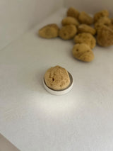 FINA FACIAL SEA SPONGE