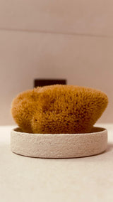 FINA FACIAL SEA SPONGE