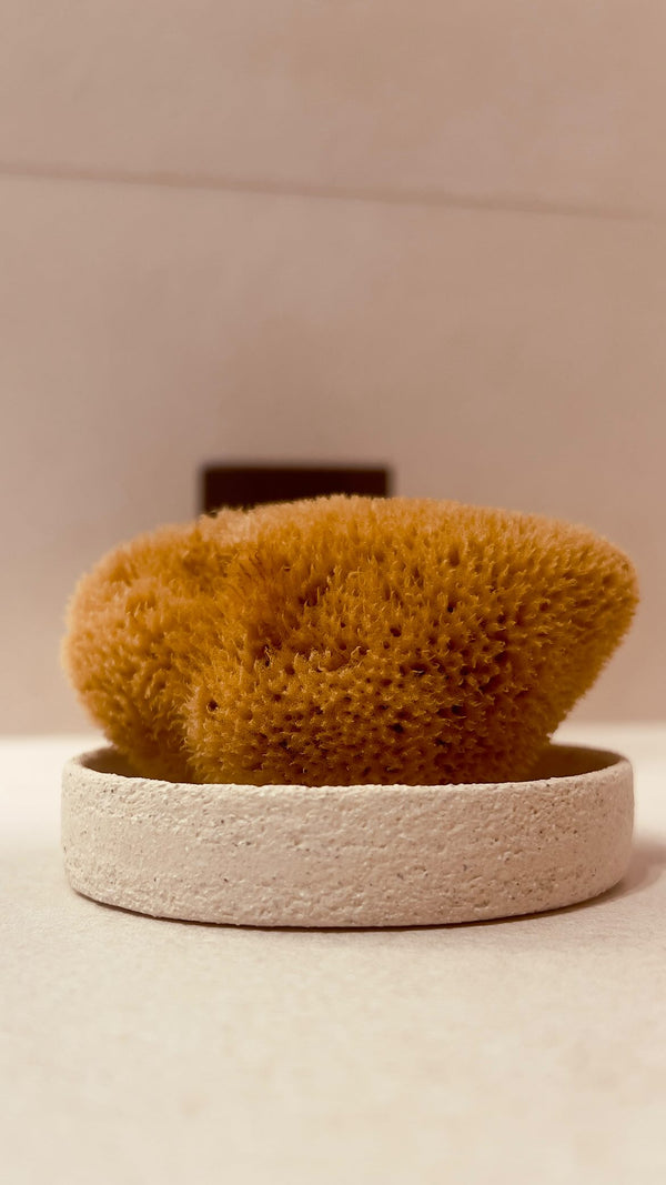 FINA FACIAL SEA SPONGE