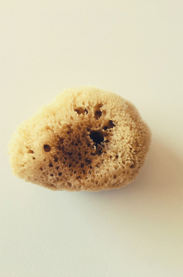 Fina silk facial sea sponge kalymnos